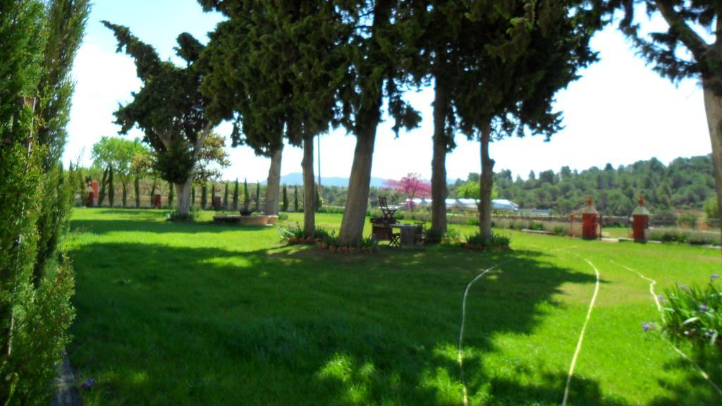 Finca Casa Nueva Requena Exteriör bild