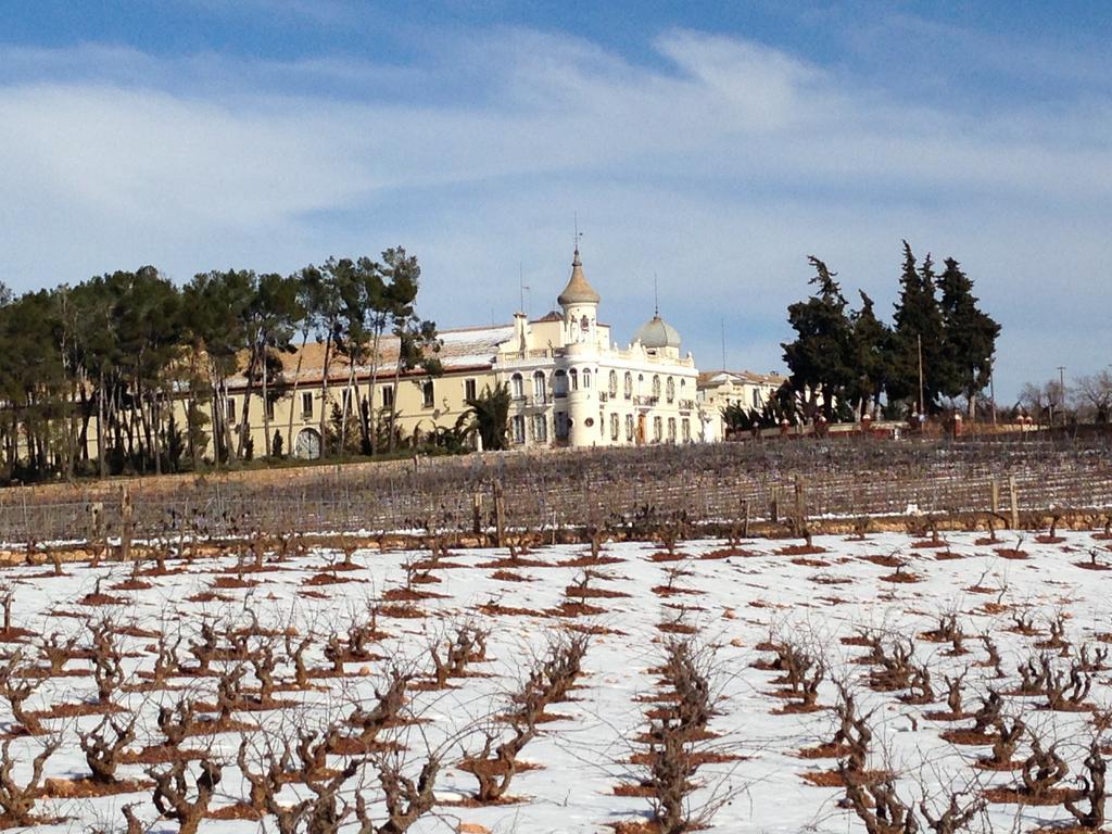 Finca Casa Nueva Requena Exteriör bild